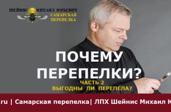 Выгодно ли держать перепелов в ЛПХ? Делаем расчеты